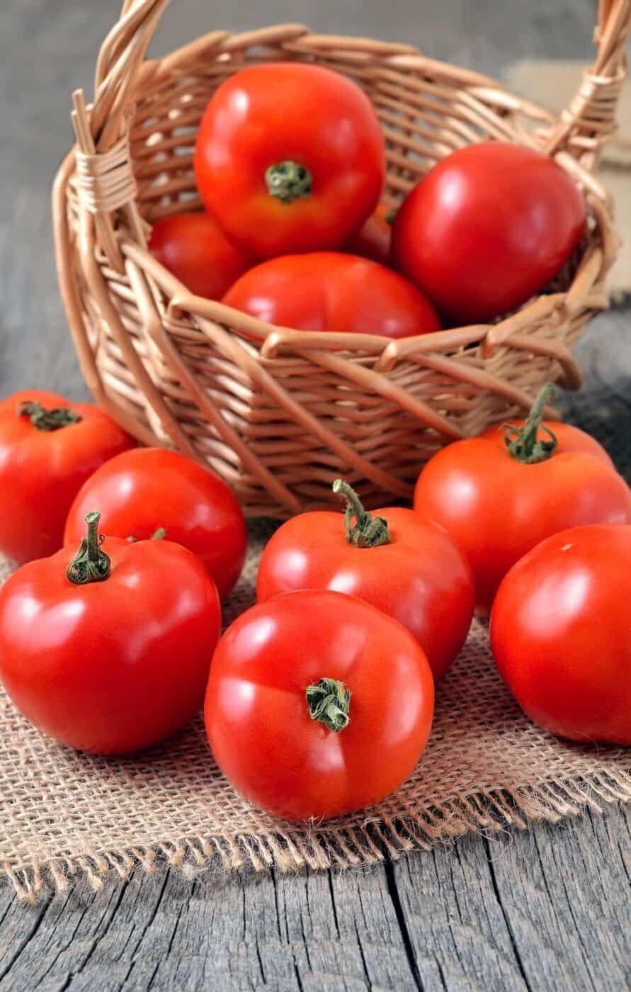 Hybrid Tomato-1KG Net Bag